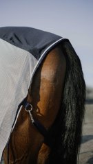 Síťová deka s plnými zády Equitheme Flycool Standard