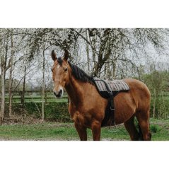 Jezdecký pad NORTON - KIOWA