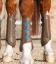 Zadní kamaše Premier Equine Carbon Tech Air Cooled Eventing