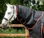 Nepromokavá výběhová deka pro koně Premier Equine Buster s krčním dílem 100g