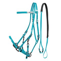 LAKOTA Biothane bridle/halter