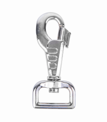 Carabiner with D-ring
