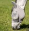 Elastická maska proti hmyzu Horseware Defense + 60% UV