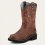 Ariat Probaby Damen-Westernstiefel