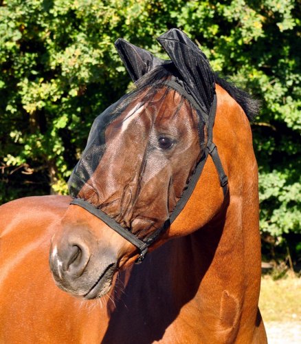 Fly mask Basic, with ear protection