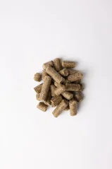 Licorice biscuits (3 kg) HORZE
