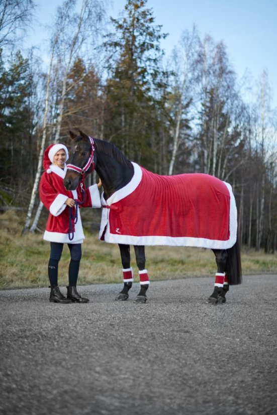 Odpocovací deka HORZE Christmas červená
