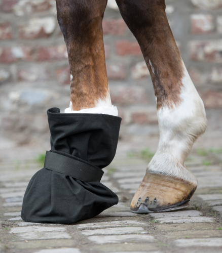 Hoof dressing protection