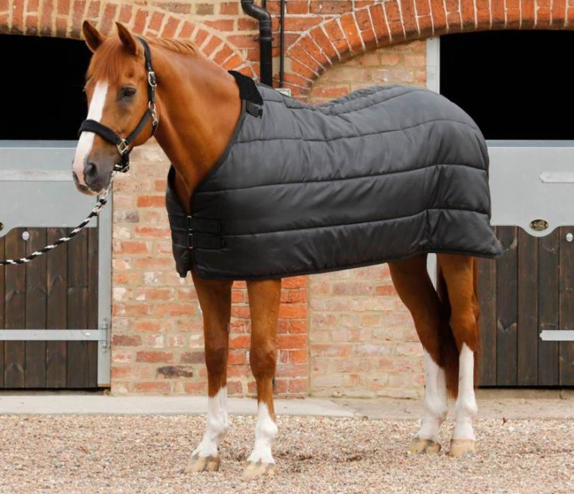 Poddeka pro koně Premier Equine 50g
