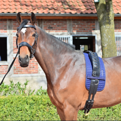 Podložka pod lonžovací obřišník BUSSE CLASSIC