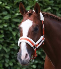 Premier Equine Techno Wool Head Collar with Lead Rope – Burnt Orange – Pony