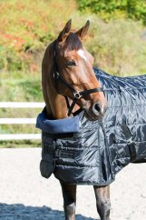Chránič hrudníku HORZE Pillow- ROZBALENO