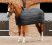 Unterdecke für Pferde Premier Equine 100g