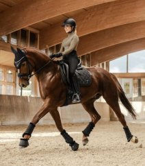 Dressage gaiters Waldhausen Phoenix