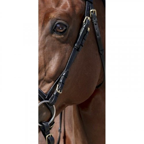 Uzdečka pro koně NORTON PRO STITCHED - Color: Hnědá, Size: COB