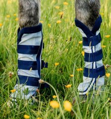 Chrániče proti hmyzu Horseware Newmarket, pár