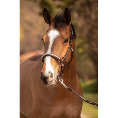 Penelope Harmony leather halter