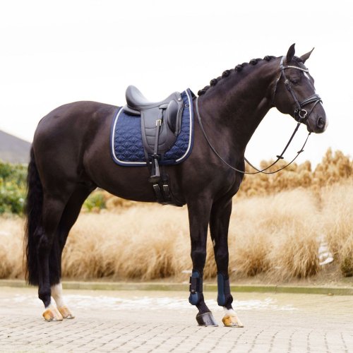 IRHLenny dressage saddle pad