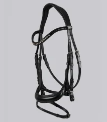 Palazzo Anatomical Bridle