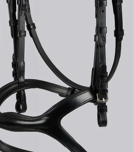 San Paolo Anatomical Bridle