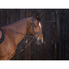 Gogue RIDING WORLD