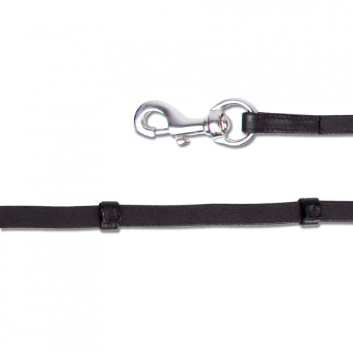 Iceland reins with carabiner