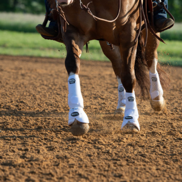 Western Leg Protection – boots and bandages