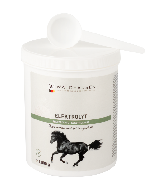 Elektrolyt Waldhausen regenerace a udržování výkonu, 1 kg