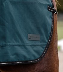 Regen-Nierendecke Salzburg