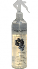 Suchý šampon OFFICINALIS Blueberry 500ml