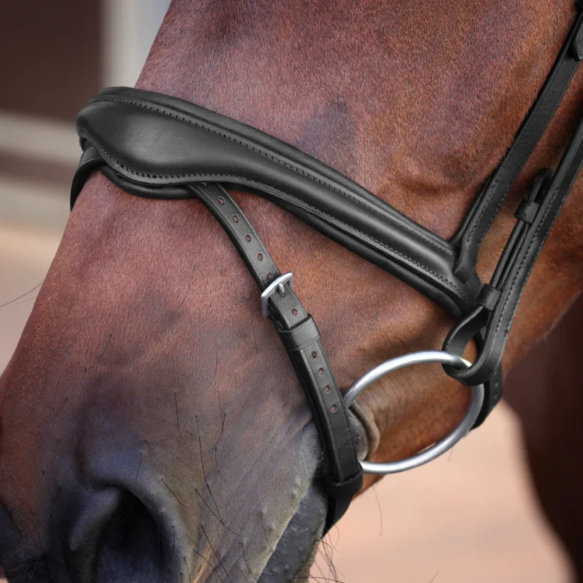 Uzdečka Elite Flash SHIRES