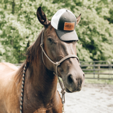 Westernové šiltovky – so sieťkou aj bez, Yellowstone a ďalšie motívy