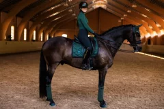 Equestrian Stockholm Sycamore Green bandages