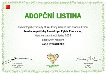 🐴 Máme nového člena rodiny! 🐴