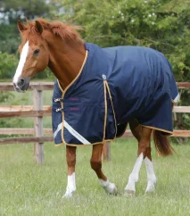 Waterproof paddock blanket for horses Premier Equine Buster 50g