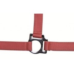 Ohlávka HKM - Stars Economy