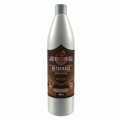 Sirup Detoxikace - očista