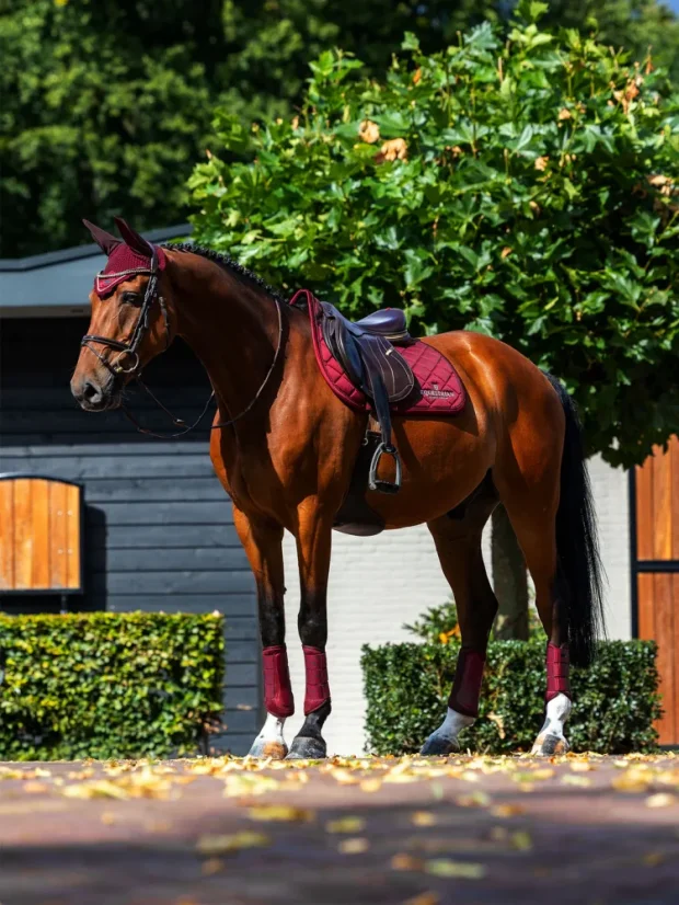 Set EQUESTRIAN STOCKHOLM Line Bordeaux
