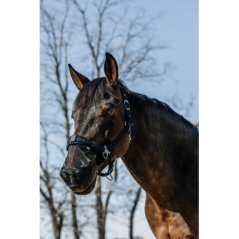 Nasenschutz EQUITHÈME 50% UV