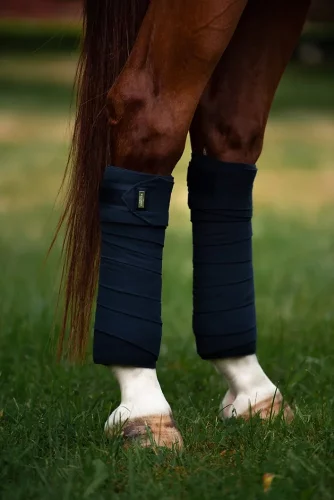 Bandages Equestrian Stockholm Midnight blue