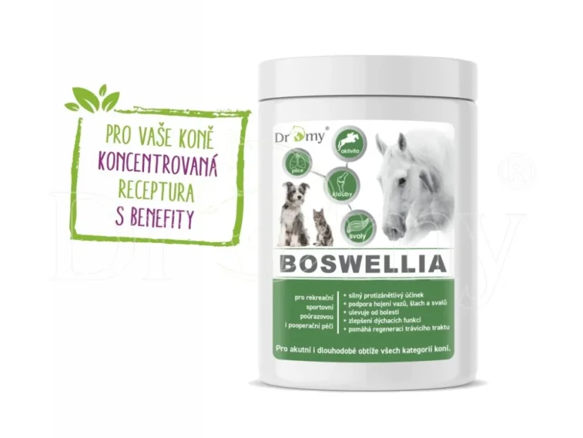 Dromy BOSWELLIA FORTE 750 g