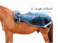 Bederní deka Premier Equine Vellus