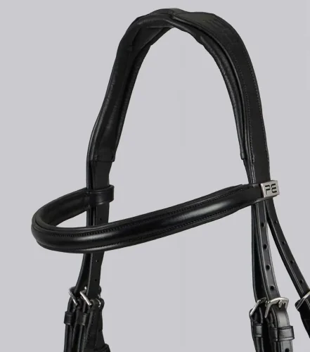 Artana Snaffle Bridle