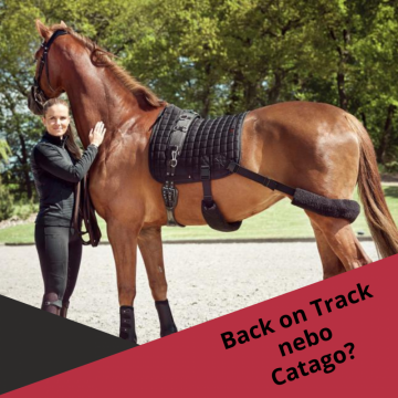 Back on Track nebo Catago?