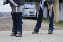 Přepravní kamaše pro koně EQUITHÈME CLASSIC