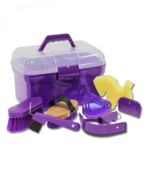 Cleaning kit