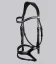 San Paolo Anatomical Bridle