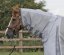 Letní deka pro koně Premier Equine Super Lite