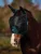 Weatherbeeta ComFiTec Durable insect mask + 60% UV