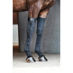 Covers for horses CATAGO FIR-Tech